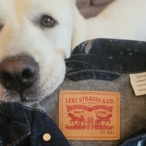 Levi's Blue Denim Shirt XXL